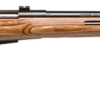 SAVAGE ARMS 25LV 17 HORNET BL/LAM THBHL