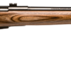 SAVAGE ARMS 25LV 17HORNET BL/LAM DBM