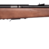 SAVAGE ARMS 93 BOLT 22MAG BL/WD 21" 5+1