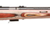 SAVAGE ARMS 93 BOLT 22MAG BL/LAM SPIR FLT