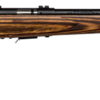 SAVAGE ARMS 93 BOLT 17HMR BL/LAM HVBBL 5+1