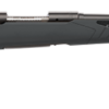 SAVAGE ARMS 110 HUNTER 308WIN BL/SYN 22"
