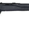 SAVAGE ARMS B17 COMPACT 17HMR BL/SYN 18"