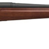 WRA XPR SPRT 300 BA RFL WAL