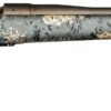 CHA MESA FFT BA 300 22B BB