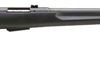 SAVAGE 25 WALKING VARMINTER - 17HORNT 22" ACU-TGR BL/BLK SYN