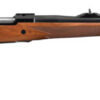 RUGER M77 HAWKEYE AFRICAN - W/MBS 375 RUGER BLUED