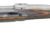 RUGER M77 GUIDE GUN W/MBS - 416 RUGER S/S GRN MT. LAMINAT