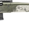 SPRINGFIELD 2020 WAYPOINT 22" - 6.5CM FLUTED SS/EVERGREEN ADJ