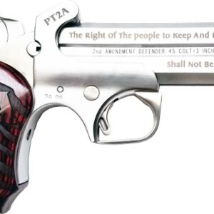 BOND ARMS PROTECT 2ND AMMEND - 357/38SPL 4.25" W/HOLSTER