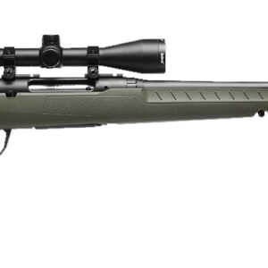 SAVAGE ARMS AXIS 2 CPT 243WIN BL/GRN PKG