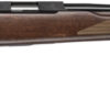 TIKKA T1X HUNTER 22LR 16" - THREADED WOOD BLUED