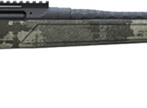CHA EVOKE HNTR BA 6.5PRC 22B