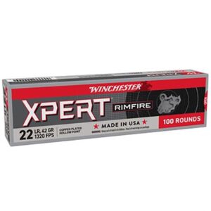 22 LONG RIFLE 42GR PLATED HOLLOW POINT 100/BOX